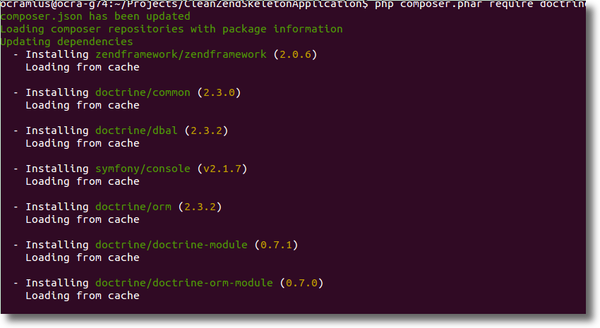 Doctrine ORM Module successfully installed!