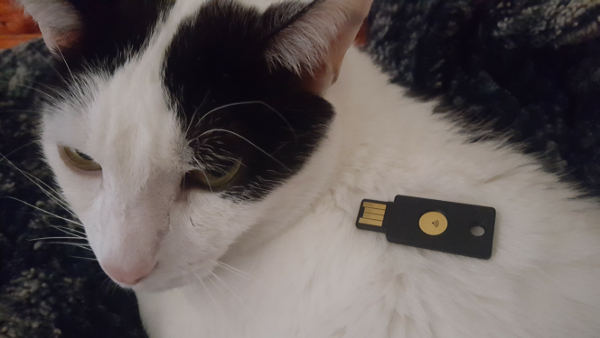 A YubiKey Neo on a cat